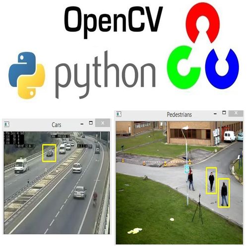 object_detection